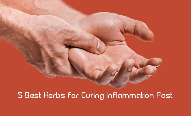 5 Best Herbs for Curing Inflammation Fast