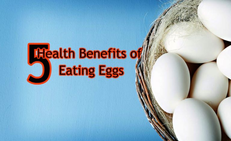 Top 5 Health Benefits of Eating Eggs