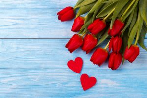 Top 10 Spring Flowering Bulbs Top 10 Spring Flowering Bulbs