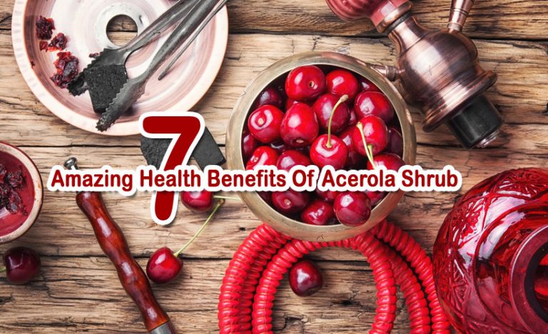 7 Amazing Health Benefits Of Acerola shrub
