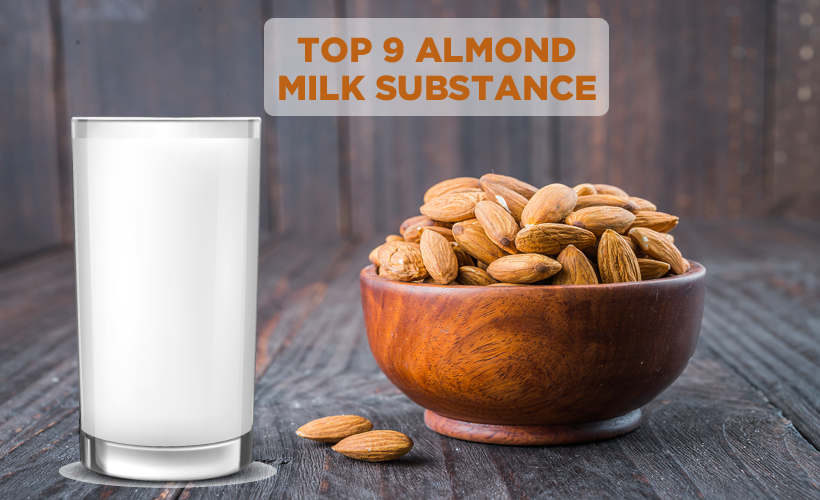 3288 - Top 9 Almond Milk Substitutes