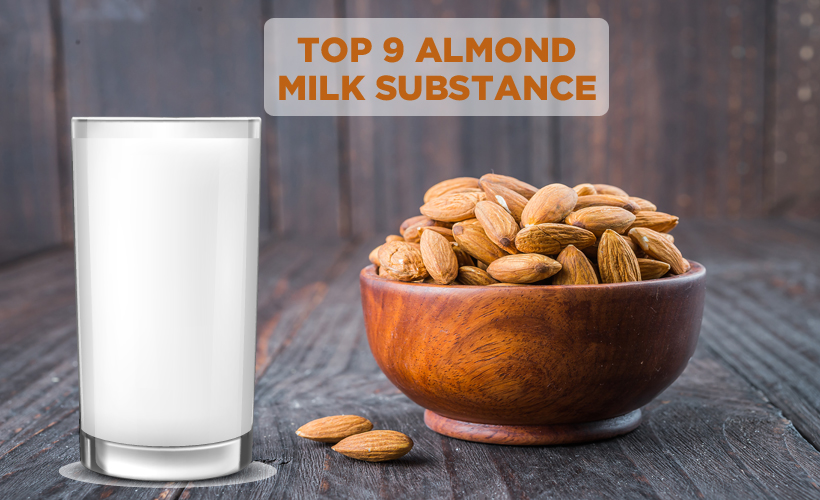 Top 9 Almond Milk Substitutes