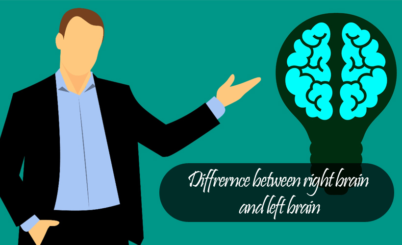 What's the Difference Between the Right Brain and Left Brain?