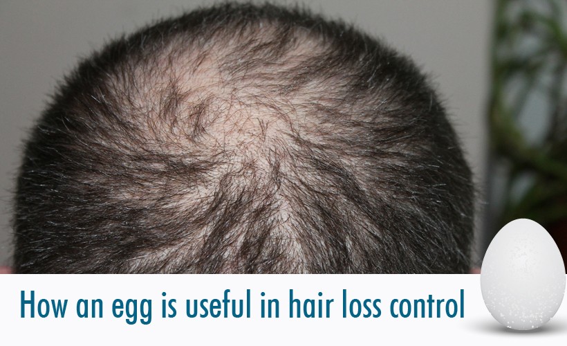 How is an egg useful for hair loss control?