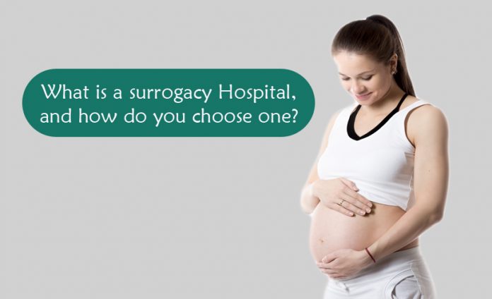 WHAT IS A SURROGACY CLINIC, AND HOW DO YOU CHOOSE ONE?