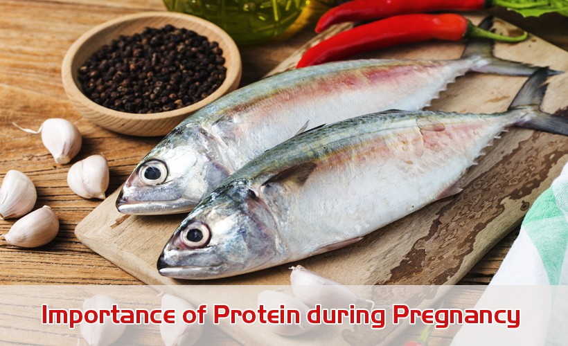 Importance of Protein during Pregnancy