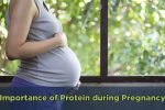 Importance of Protein during Pregnancy