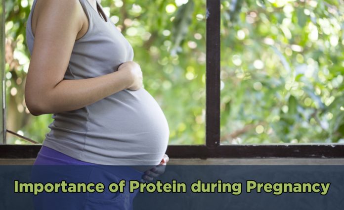 Importance of Protein during Pregnancy