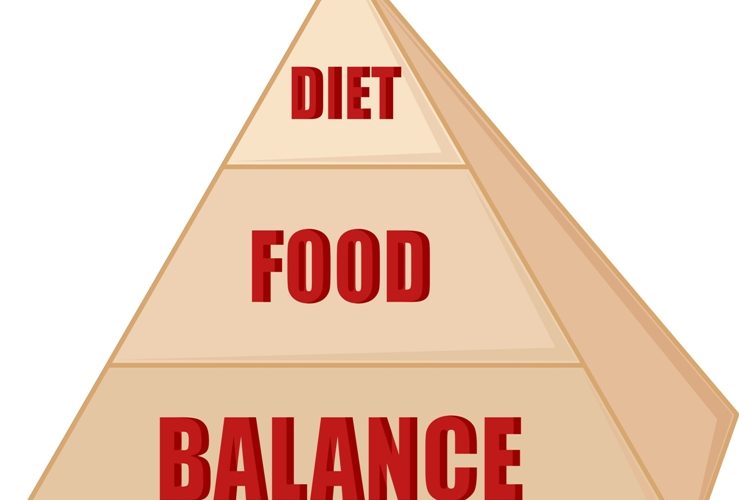Food Pyramid for Kids – Know the Key Components Food Pyramid for Kids – Know the Key Components