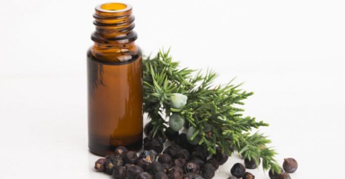 13 Incredible Benefits of Juniper Essential Oil