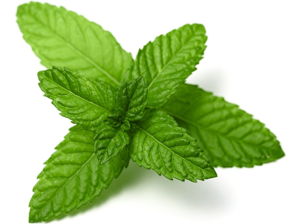 13 Impressive Benefits of Mint