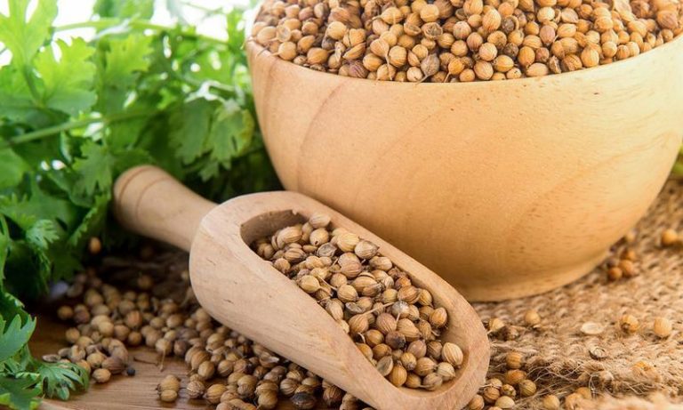 10 Amazing Coriander Seed Substitutes