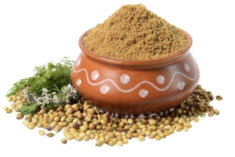 10 Amazing Coriander Seed Substitutes Yabibo