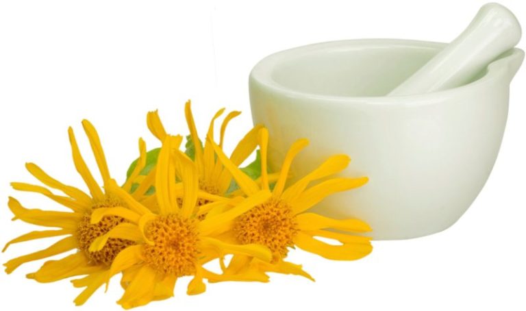 15 Incredible Benefits of Arnica Tea