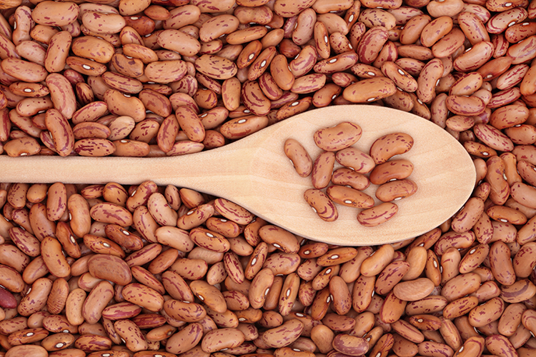 7 Nutritious Benefits of Pinto Beans Yabibo
