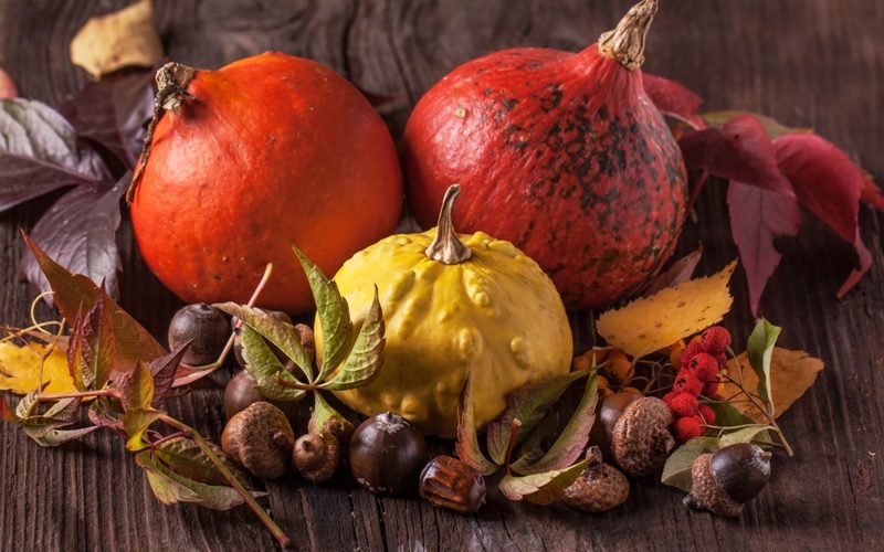 8 Amazing Benefits of Acorns 8 Amazing Benefits of Acorns