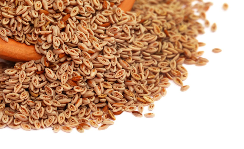 8 Surprising Benefits of Psyllium 8 Surprising Benefits of Psyllium