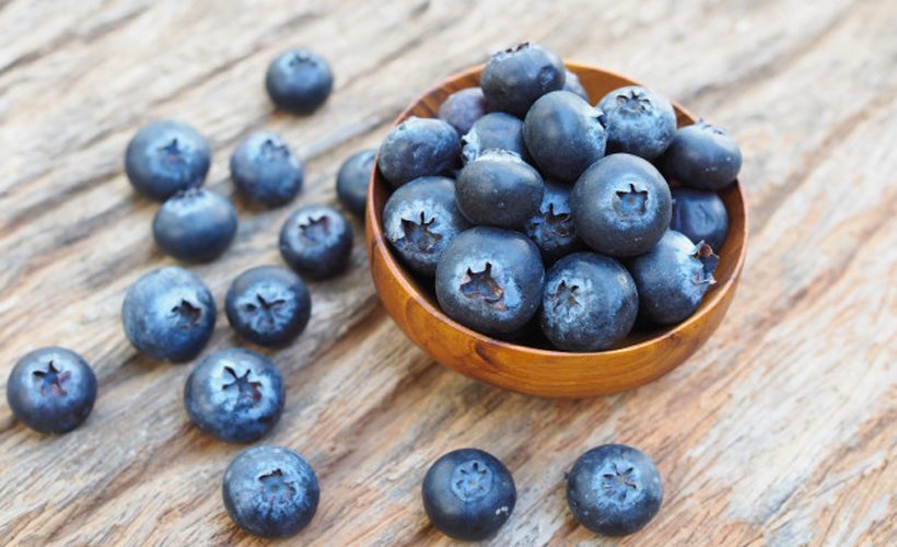 7 Surprising Elderberries Benefits 7 Surprising Elderberries Benefits