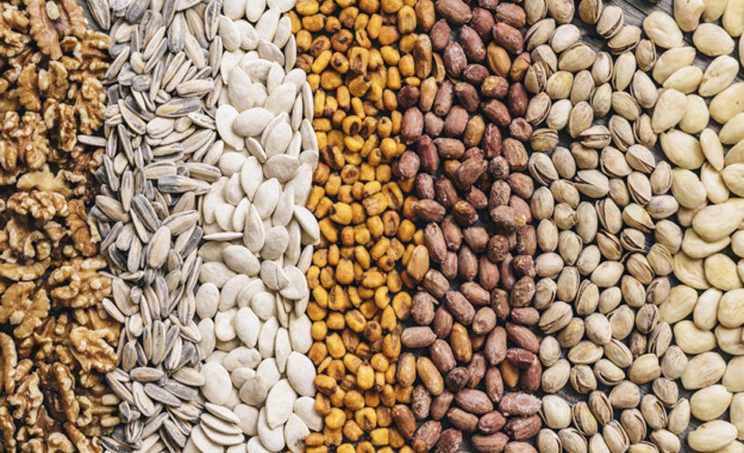 Types of Seed: 4 Important Types Types of Seed: 4 Important Types