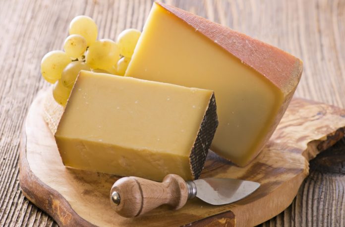 7 Best Fontina Cheese Substitutes