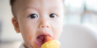 11 Months Old Baby Food Ideas