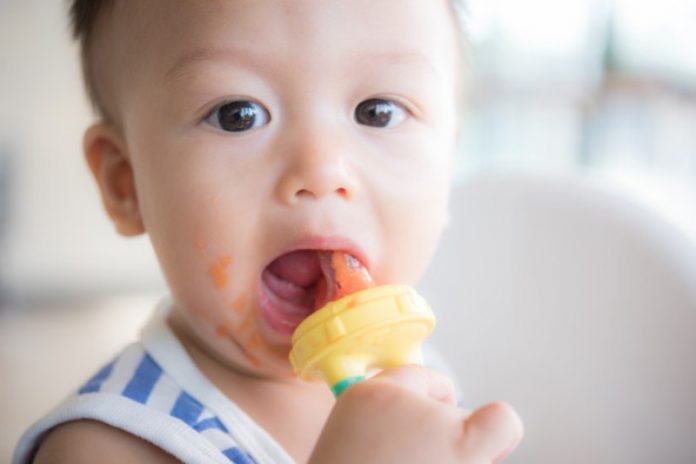 11 Months Old Baby Food Ideas