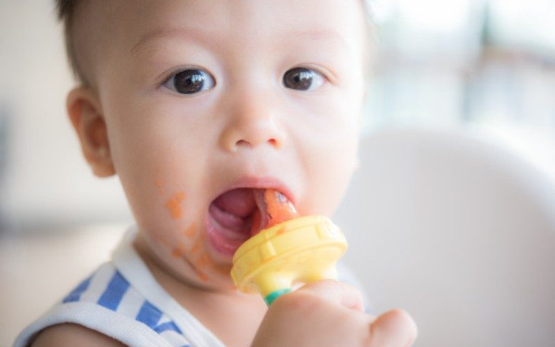 11 Months Old Baby Food Ideas 11 Months Old Baby Food Ideas