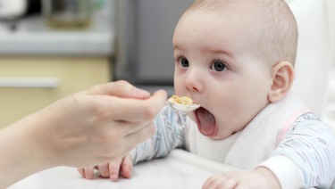 11 Months Old Baby Food Ideas