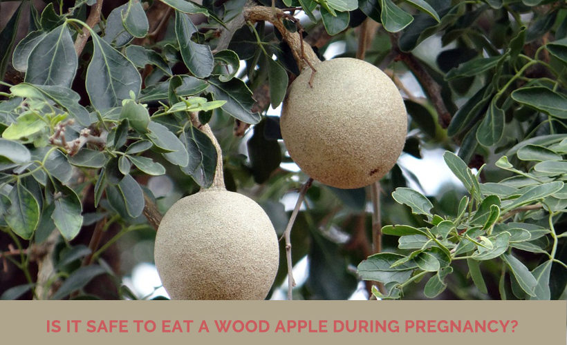 Is it safe to eat a wood apple during pregnancy? wood apple during pregnancy 820x500 - Is it safe to eat a wood apple during pregnancy?