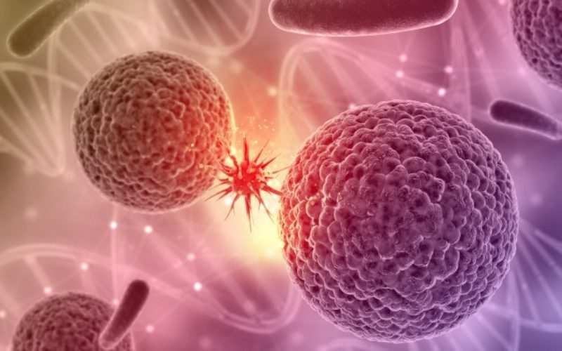 Cancer stem cells to be visible to the immune system Cancer stem cells to be visible to the immune system