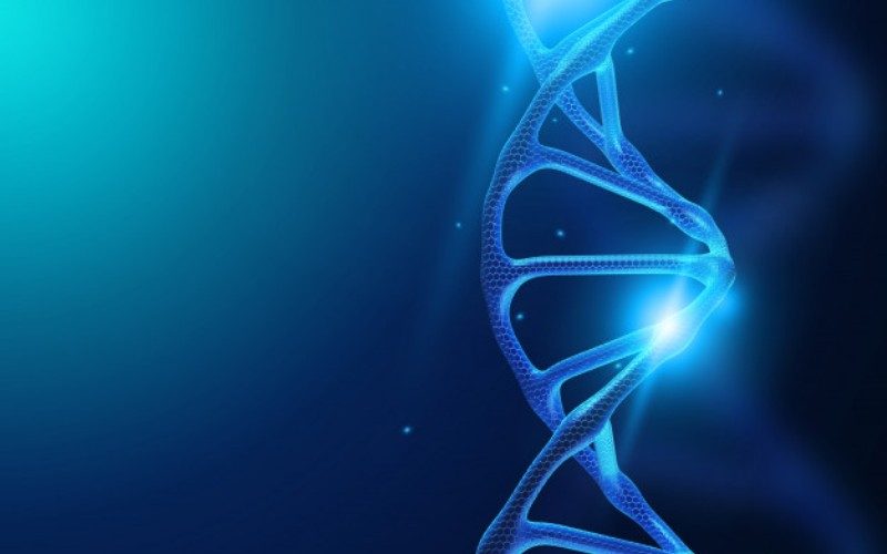 Mutations in tuberculosis bacteria cause resistant to drugs Mutations in tuberculosis bacteria cause resistant to drugs