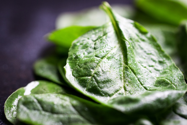 Spinach supplement good for muscle strength