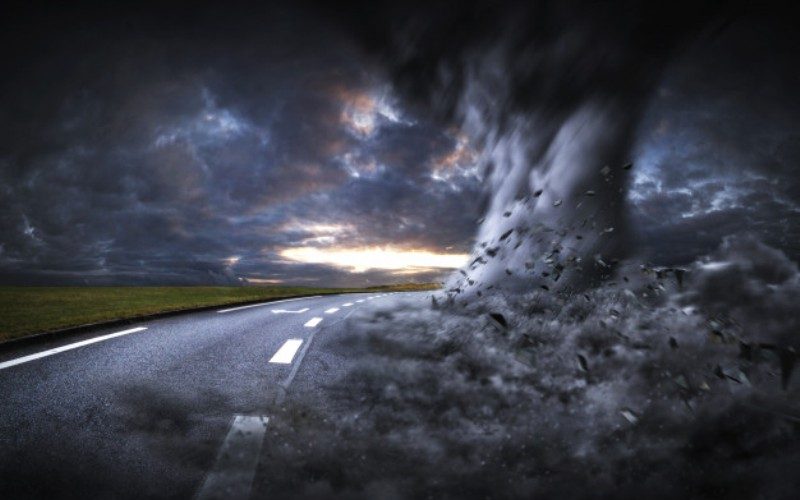 Rising CO2, climate change reduce nutrients Rising CO2, climate change reduce nutrients