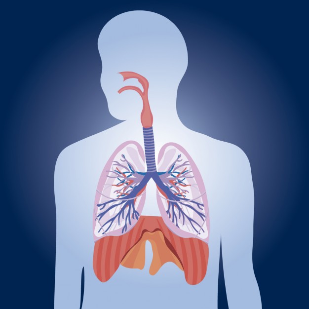 Respiratory disorders decrease lifespan among elders