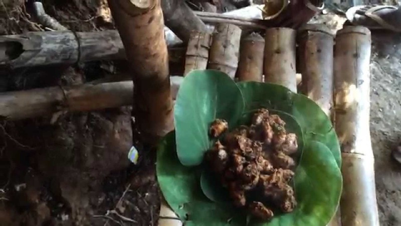 How to Prepare Bamboo Chicken Recipe Village Style?