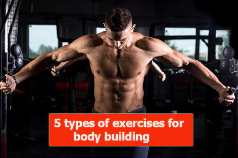 5 types of exercises for body building