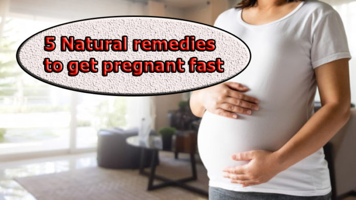 5 Natural remedies to get pregnant fast