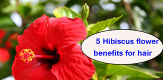 5 Hibiscus flower benefits for hair