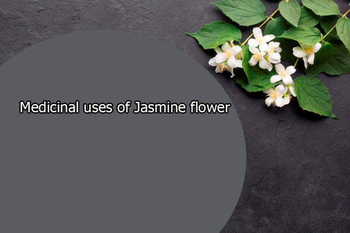 Medicinal uses of Jasmine flower