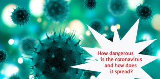 How dangerous is the coronavirus and how does it spread? 