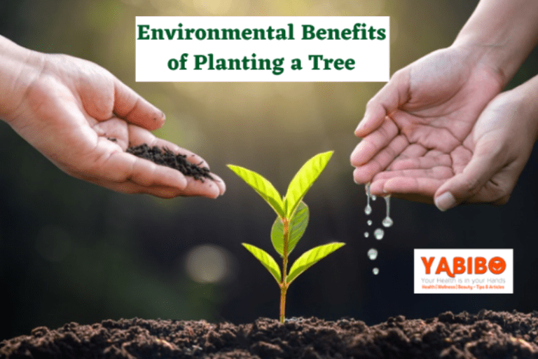 informative essay about the importance of tree planting