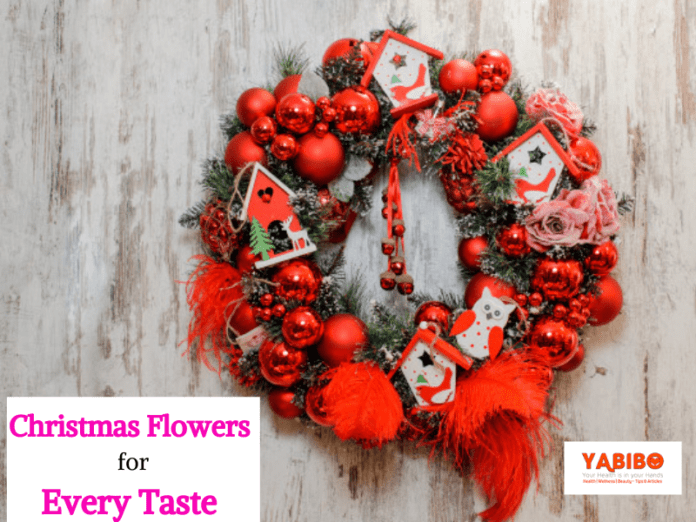 10 Perfect Christmas Flowers for Every Taste