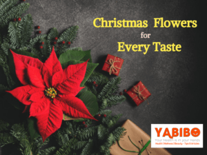 10 Perfect Christmas Flowers for Every Taste 