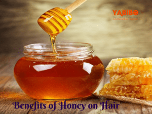 Benefits of Honey on Hair: Tips Tricks and Hacks 