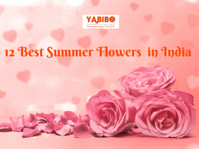 12 Best Summer Flowers in India
