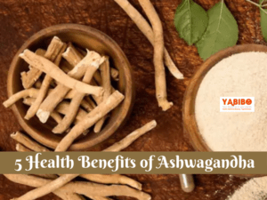 5 Health Benefits of Ashwagandha 