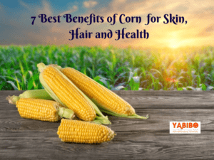 7 Best Benefits of Corn for Skin, Hair and Health 