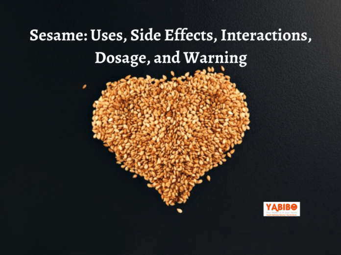 Sesame: Uses, Side Effects, Interactions, Dosage, and Warning