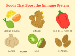 10 Foods That Boost the Immune System