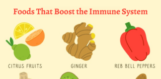 10 Foods That Boost the Immune System